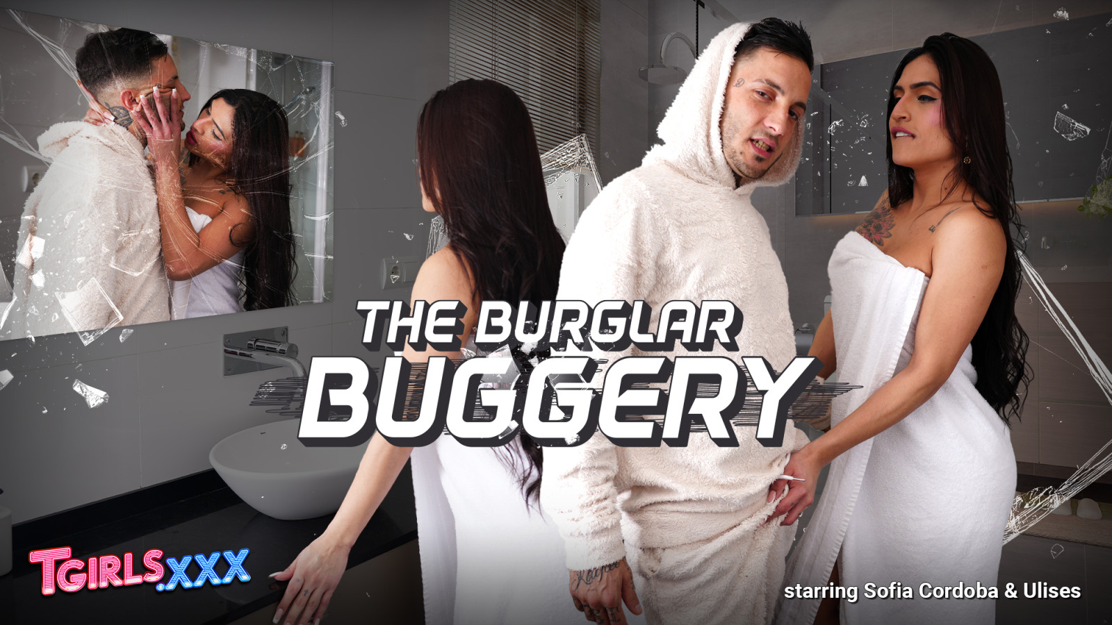 The Burglar Buggery